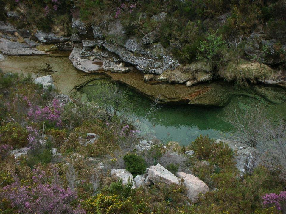 Pension As Termas Bubaces Exteriér fotografie